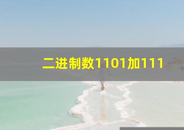 二进制数1101加111