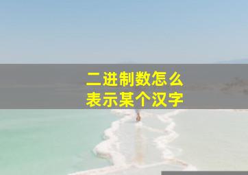 二进制数怎么表示某个汉字