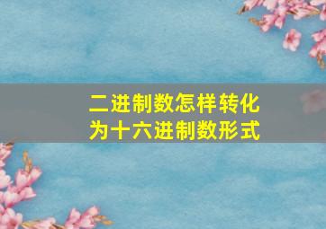 二进制数怎样转化为十六进制数形式