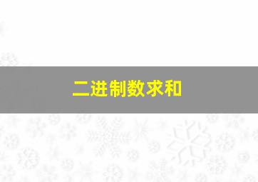 二进制数求和