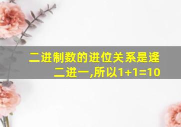 二进制数的进位关系是逢二进一,所以1+1=10