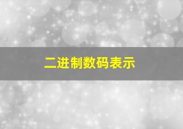 二进制数码表示