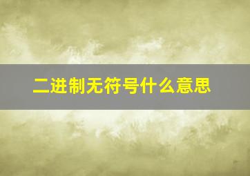 二进制无符号什么意思