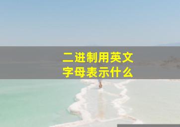 二进制用英文字母表示什么