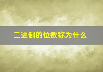 二进制的位数称为什么