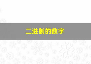 二进制的数字