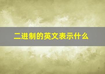 二进制的英文表示什么