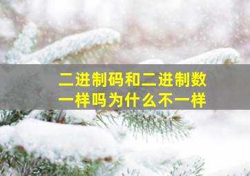 二进制码和二进制数一样吗为什么不一样