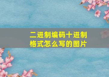 二进制编码十进制格式怎么写的图片