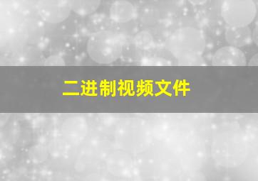 二进制视频文件