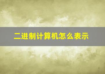 二进制计算机怎么表示