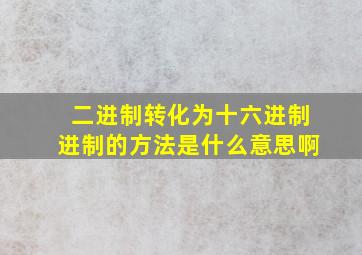 二进制转化为十六进制进制的方法是什么意思啊