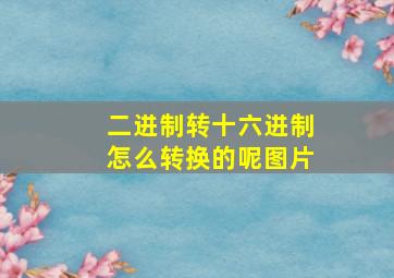 二进制转十六进制怎么转换的呢图片