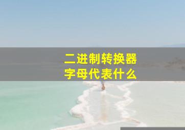 二进制转换器字母代表什么