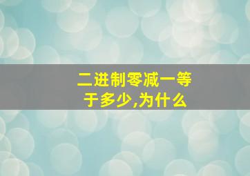 二进制零减一等于多少,为什么