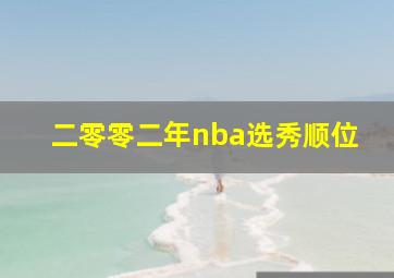 二零零二年nba选秀顺位