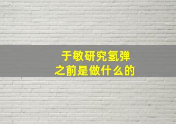 于敏研究氢弹之前是做什么的