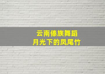 云南傣族舞蹈月光下的凤尾竹