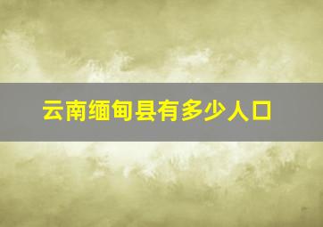 云南缅甸县有多少人口