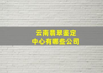 云南翡翠鉴定中心有哪些公司