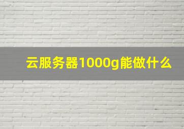 云服务器1000g能做什么