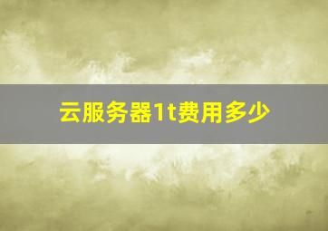 云服务器1t费用多少