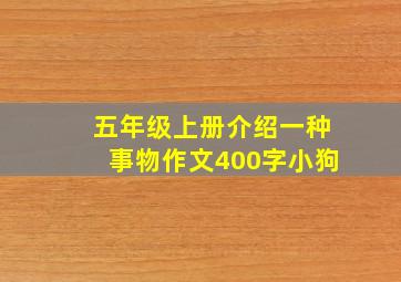 五年级上册介绍一种事物作文400字小狗