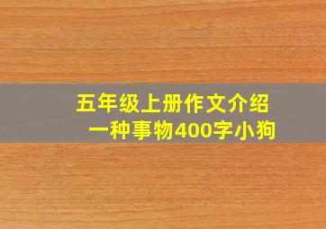 五年级上册作文介绍一种事物400字小狗