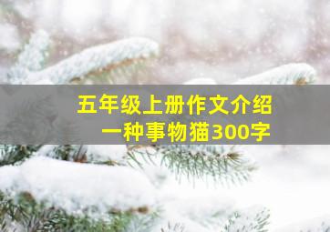 五年级上册作文介绍一种事物猫300字