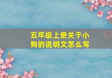 五年级上册关于小狗的说明文怎么写