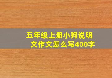 五年级上册小狗说明文作文怎么写400字