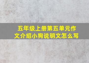 五年级上册第五单元作文介绍小狗说明文怎么写