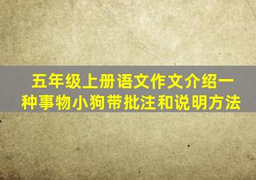 五年级上册语文作文介绍一种事物小狗带批注和说明方法