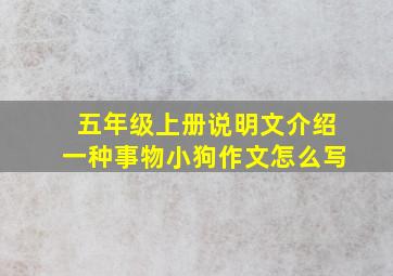 五年级上册说明文介绍一种事物小狗作文怎么写