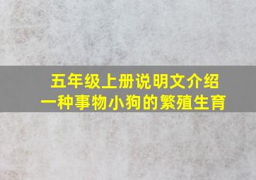 五年级上册说明文介绍一种事物小狗的繁殖生育