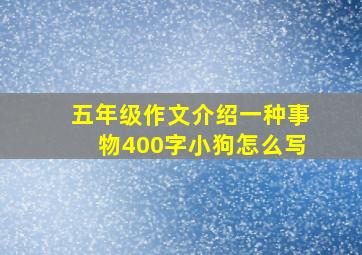 五年级作文介绍一种事物400字小狗怎么写