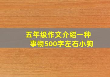 五年级作文介绍一种事物500字左右小狗