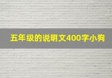 五年级的说明文400字小狗