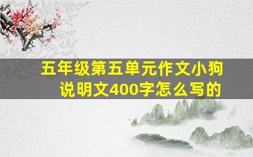 五年级第五单元作文小狗说明文400字怎么写的