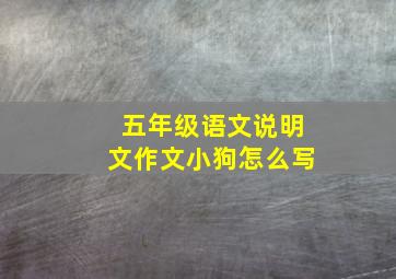 五年级语文说明文作文小狗怎么写