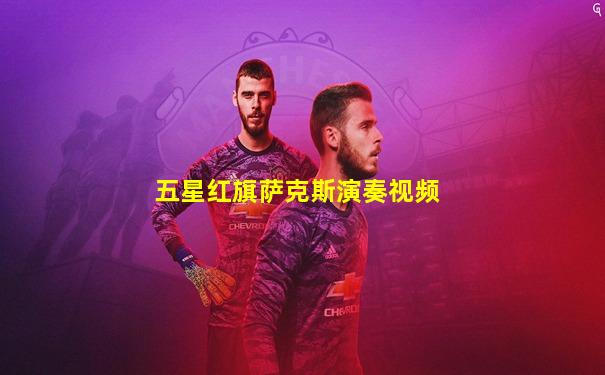 五星红旗萨克斯演奏视频