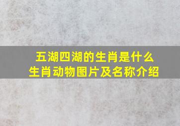 五湖四湖的生肖是什么生肖动物图片及名称介绍