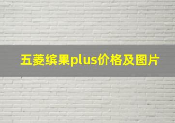 五菱缤果plus价格及图片