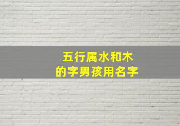 五行属水和木的字男孩用名字