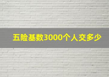 五险基数3000个人交多少