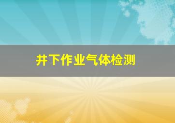 井下作业气体检测