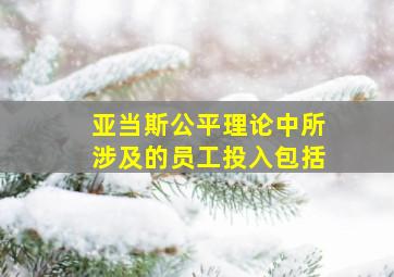 亚当斯公平理论中所涉及的员工投入包括