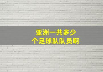 亚洲一共多少个足球队队员啊