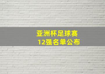 亚洲杯足球赛12强名单公布