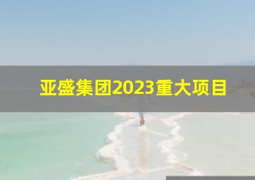 亚盛集团2023重大项目